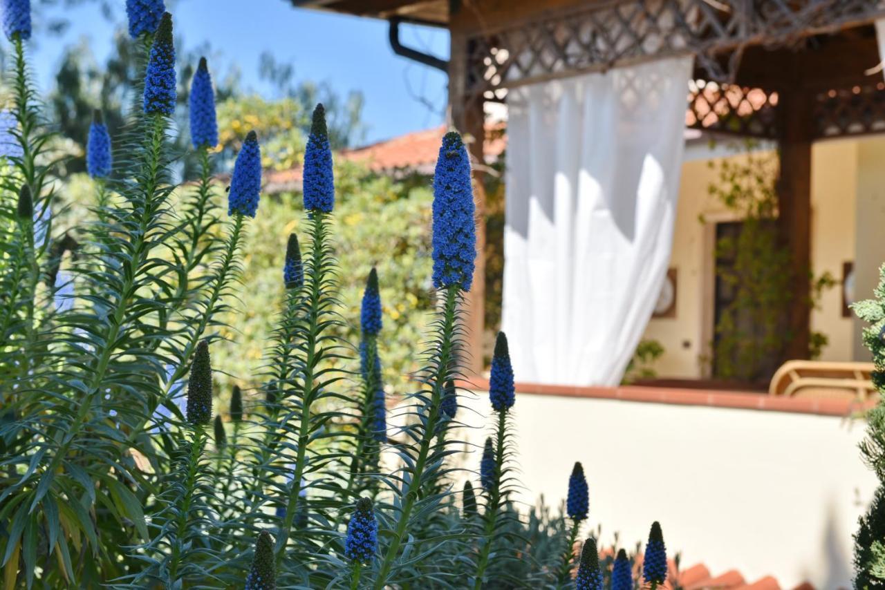 Villa Tina Santa Maria di Castellabate Dış mekan fotoğraf