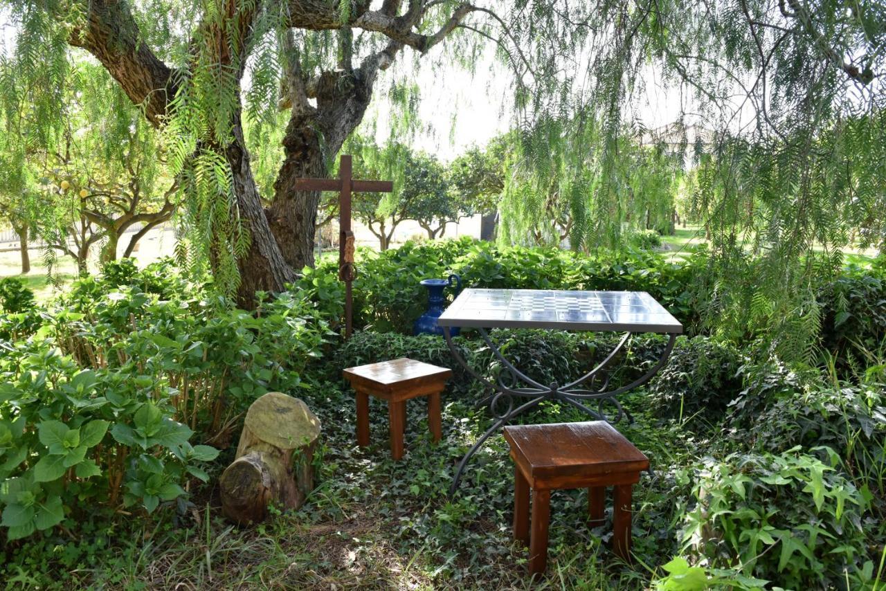 Villa Tina Santa Maria di Castellabate Dış mekan fotoğraf