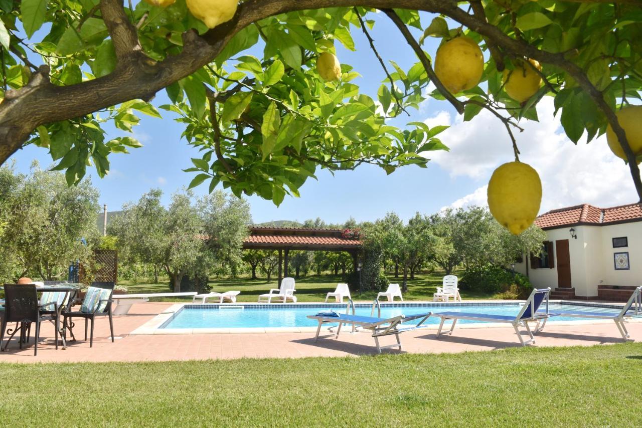 Villa Tina Santa Maria di Castellabate Dış mekan fotoğraf